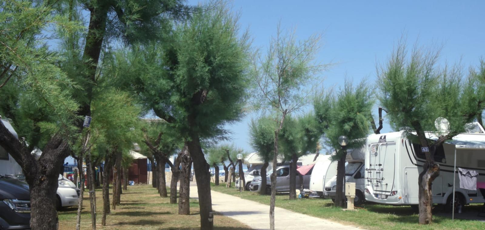 Camper parcheggiati tra alberi in un'area di sosta vicino al mare.